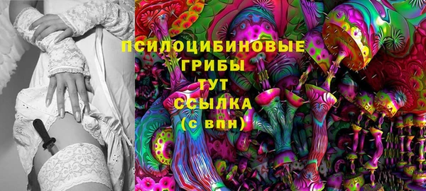 ешки Нефтекумск